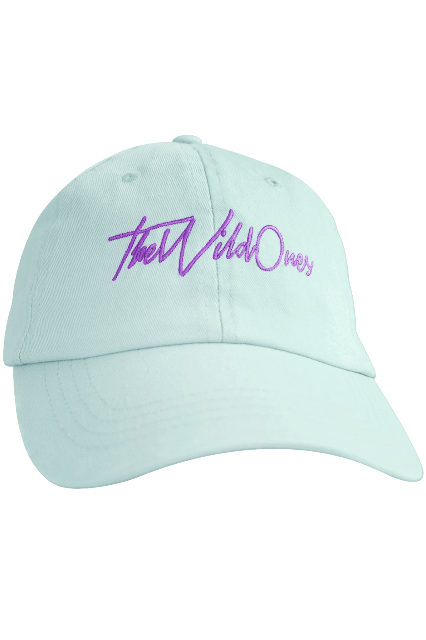 GREEN & PURPLE 80'S CAP