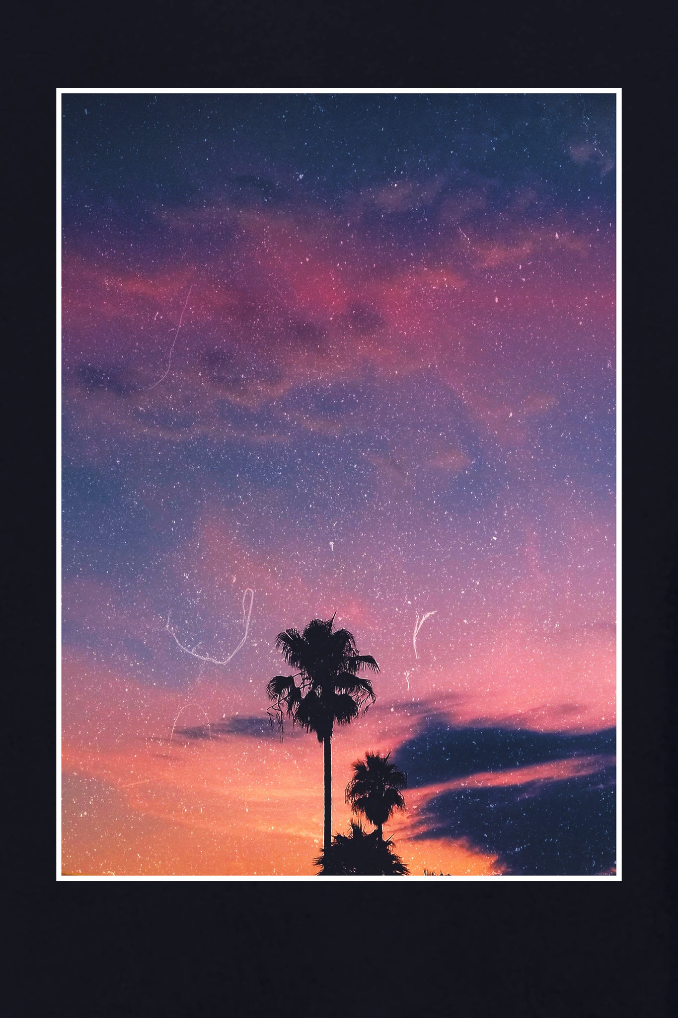SUNSET PALM SWEATSHIRT
